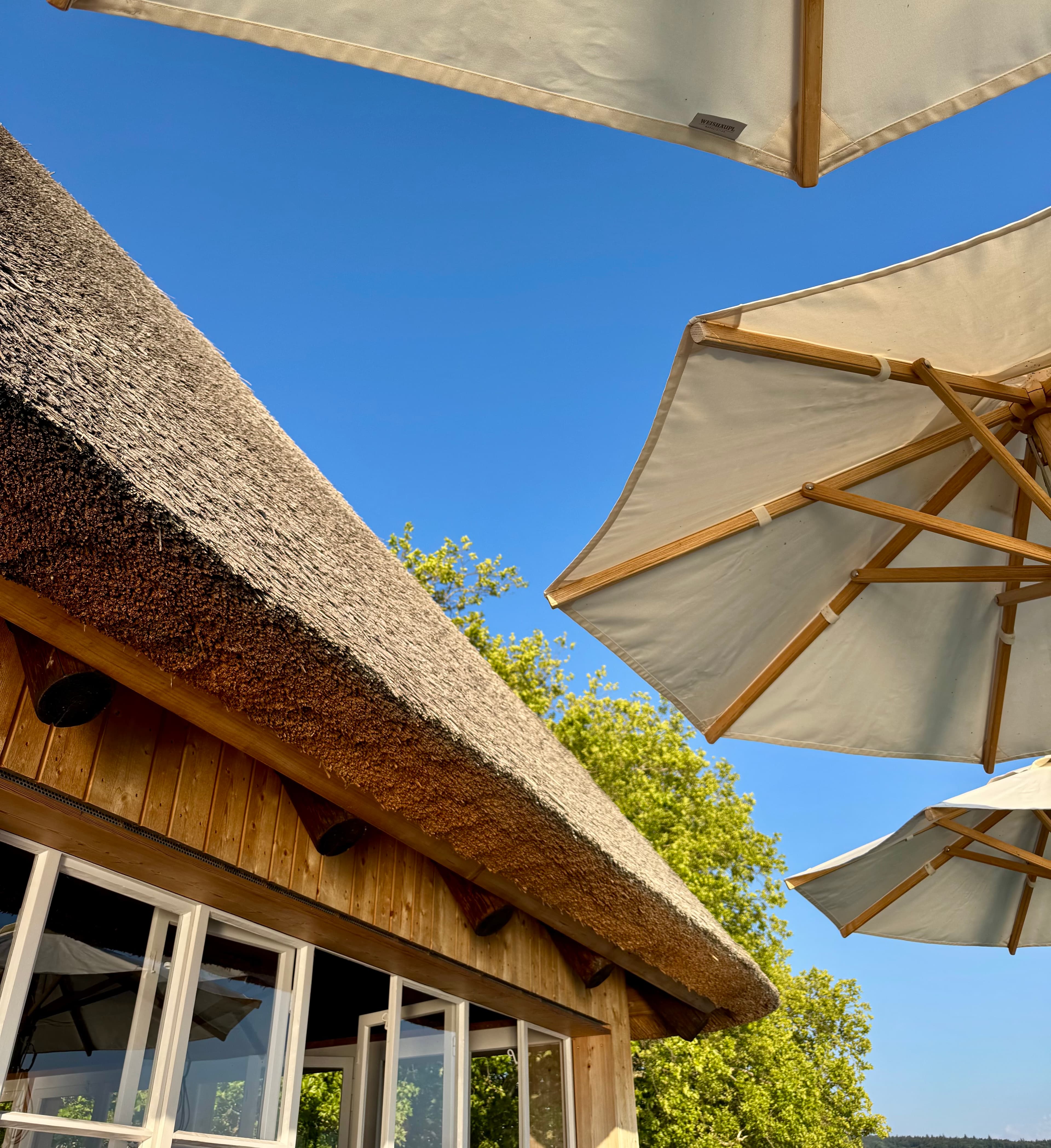 Cheese, cold cuts, and cocktails on Lake Zurich