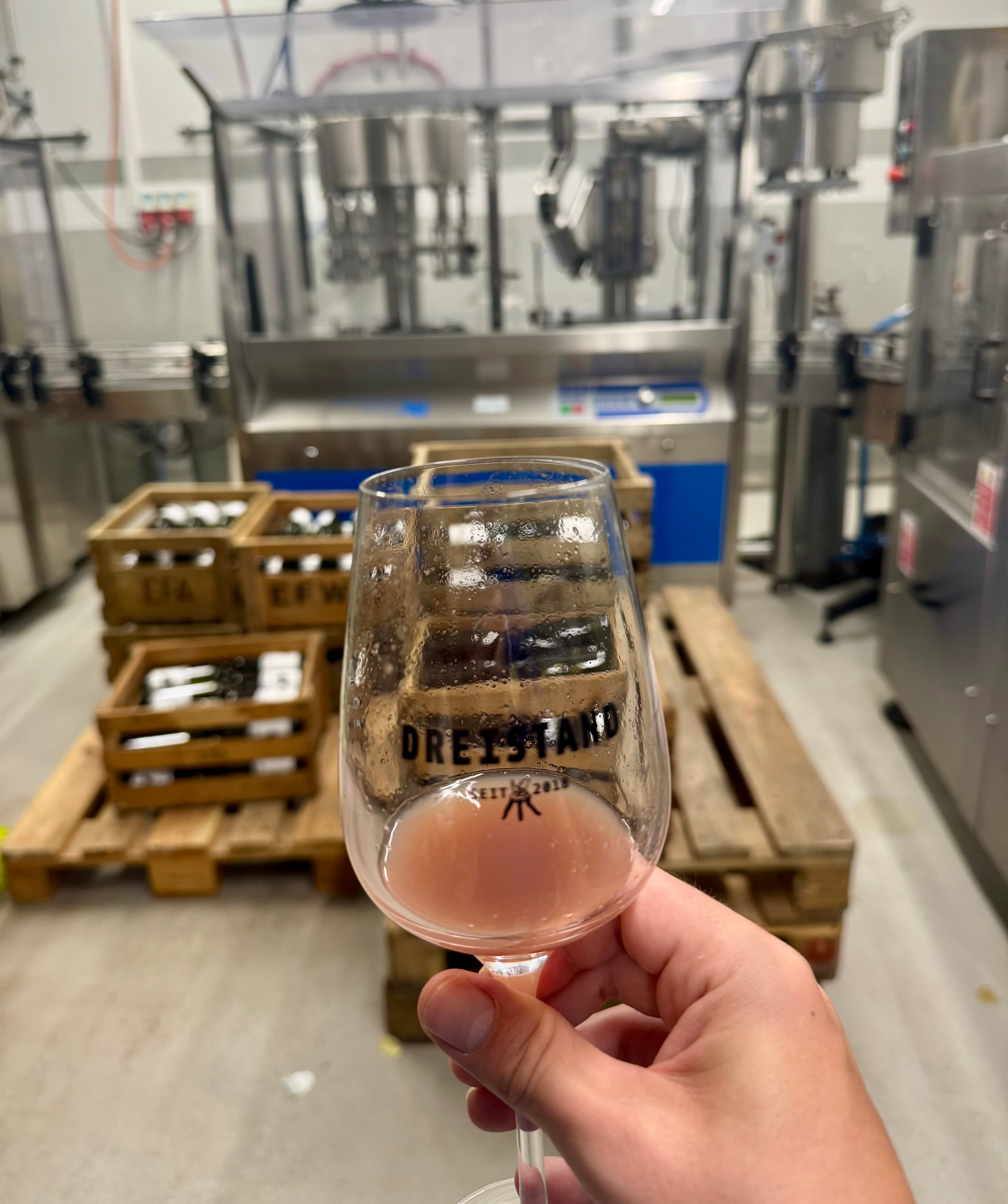 Fresh grape must in the bottling room.
