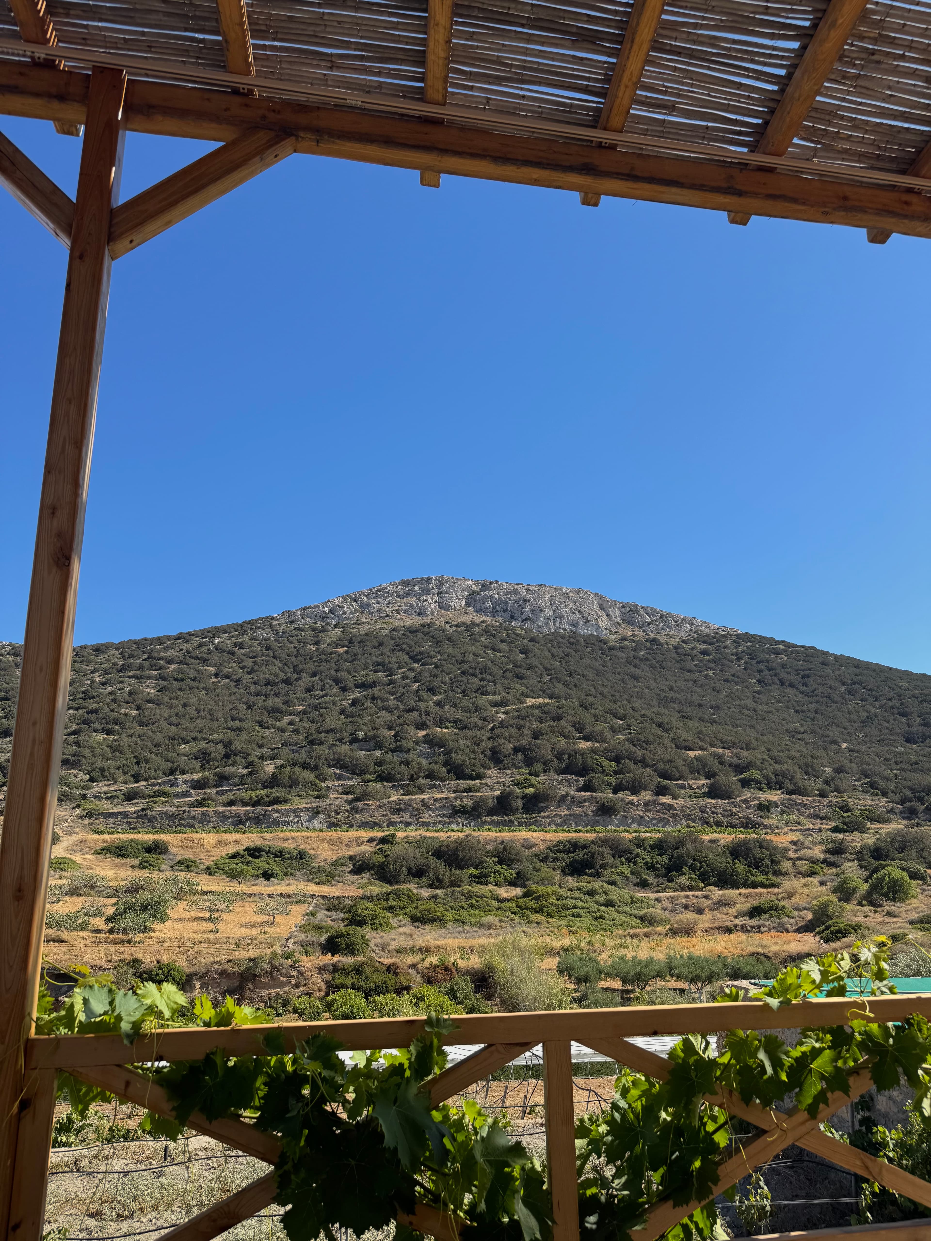 Para...kopois, wine tasting at the foot of the hill