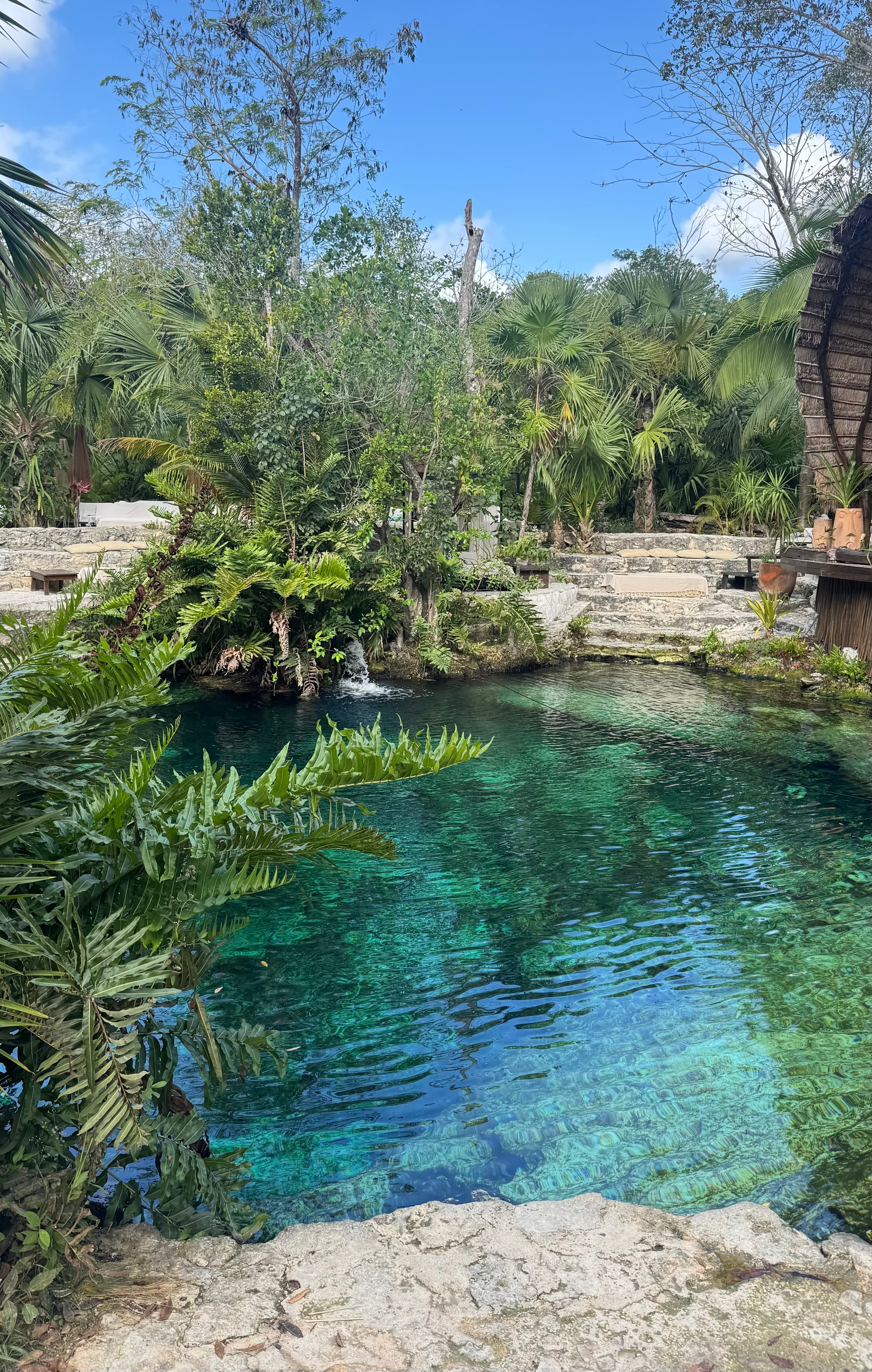 One of the most impressive **cenotes** we saw in Tulum.