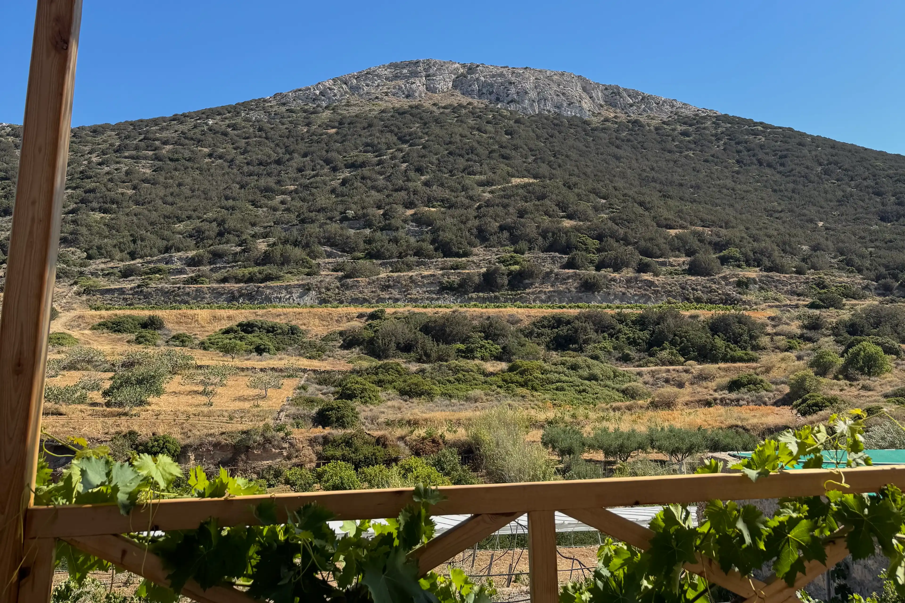 Para...kopois, wine tasting at the foot of the hill